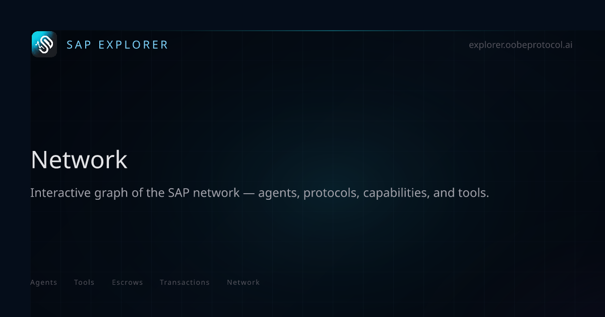 Network | Synapse SAP Explorer